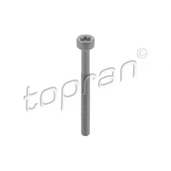 TOPRAN 410 287 - Vis, support pour controleur d'injecteurs
