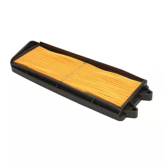 Filtre à air HIFLO HFA3101
