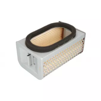 Filtre à air HIFLO HFA2904