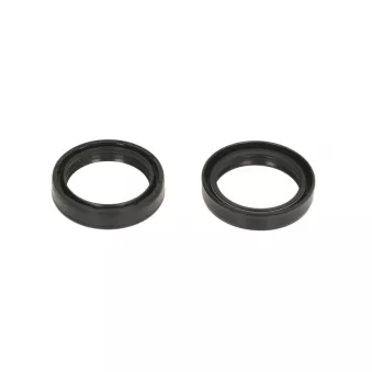 Joint de fourche 4 RIDE AB55-116