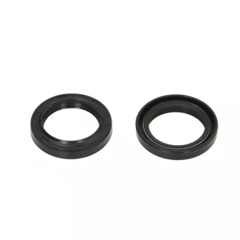 Joint de fourche 4 RIDE AB55-153