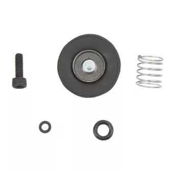 Pompe de reprise, carburateur 4 RIDE AB46-3006