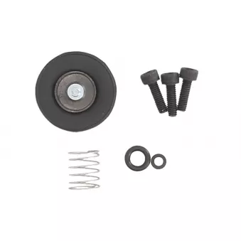 Pompe de reprise, carburateur 4 RIDE AB46-3008