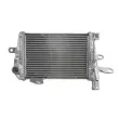 4 RIDE RAD-642 - Radiateur d'eau