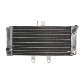 Radiateur d'eau 4 RIDE RAD-624
