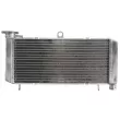 4 RIDE RAD-516 - Radiateur d'eau