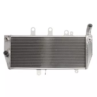 Radiateur d'eau 4 RIDE RAD-659
