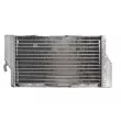 4 RIDE RAD-042L - Radiateur d'eau