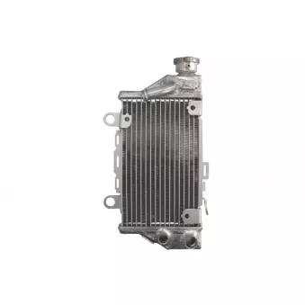 Radiateur d'eau 4 RIDE RAD-641