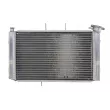 4 RIDE RAD-614 - Radiateur d'eau