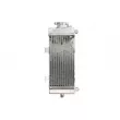 4 RIDE RAD-075R - Radiateur d'eau