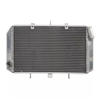 Radiateur d'eau 4 RIDE RAD-591