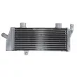 4 RIDE RAD-076L - Radiateur d'eau