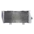 4 RIDE RAD-122L - Radiateur d'eau