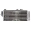 4 RIDE RAD-124L - Radiateur d'eau