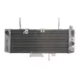 4 RIDE RAD-539 - Radiateur d'eau