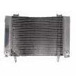 4 RIDE RAD-671 - Radiateur d'eau