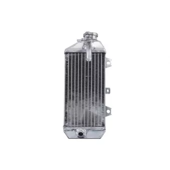 Radiateur, refroidissement du moteur 4 RIDE RAD-139R