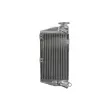 4 RIDE RAD-089 - Radiateur, refroidissement du moteur