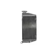 4 RIDE RAD-089 - Radiateur, refroidissement du moteur