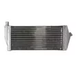 4 RIDE RAD-169L - Radiateur, refroidissement du moteur