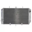 4 RIDE RAD-623 - Radiateur d'eau