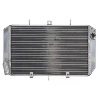 Radiateur d'eau 4 RIDE RAD-623