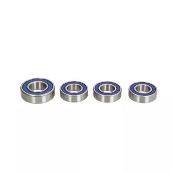 Un ensemble de roulements de roue ALL BALLS 25-1055