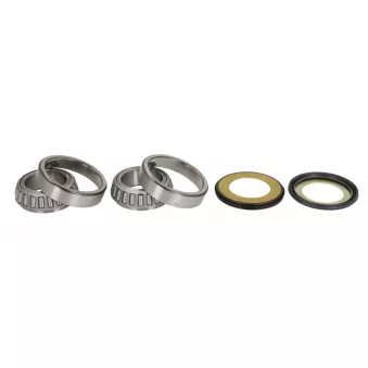 Kit de roulements de direction ALL BALLS 22-1077