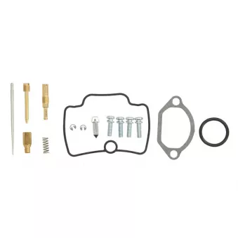 Kit de réparation, carburateur ALL BALLS 26-10049