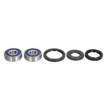 Un ensemble de roulements de roue ALL BALLS 25-1310