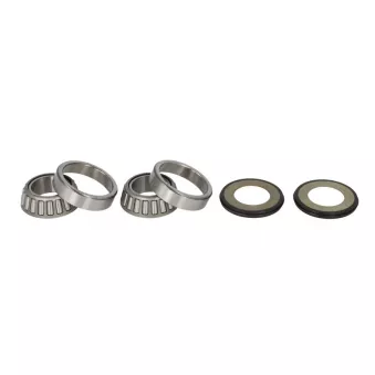Kit de roulements de direction ALL BALLS 22-1021