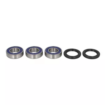 Un ensemble de roulements de roue ALL BALLS 25-1255