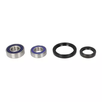 Un ensemble de roulements de roue ALL BALLS 25-1061