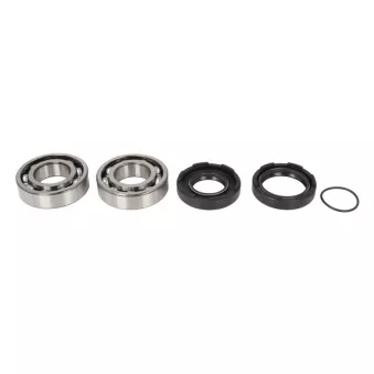 Roulement de vilebrequin ALL BALLS 24-1026 pour YAMAHA TY TY 250 - 22cv