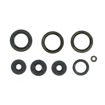 jeu de joints complet, moteur ATHENA P400010400012