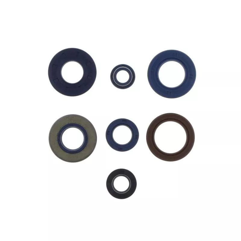 jeu de joints complet, moteur ATHENA P400130400204/1 - Visuel 1