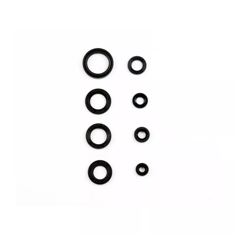 jeu complet de joints, moteur ATHENA P400210400101 - Visuel 1