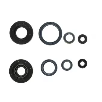 Jeu complet de joints, moteur ATHENA P400220400251