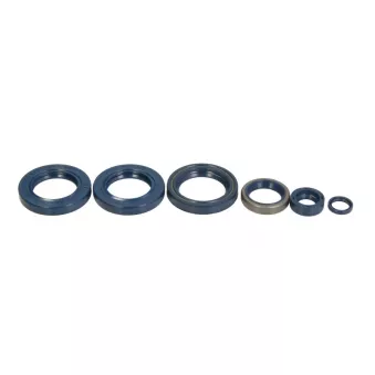 Un jeu de joints moteur ATHENA P400270400051