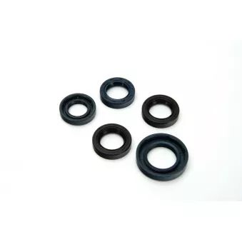 jeu de joints complet, moteur ATHENA P400420400060