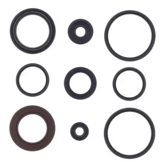 Jeu complet de joints, moteur ATHENA P400510400026
