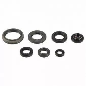 Jeu complet de joints, moteur ATHENA P400510400029
