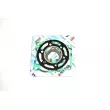 ATHENA P400510600124 - Jeu de joints moteur (haut)
