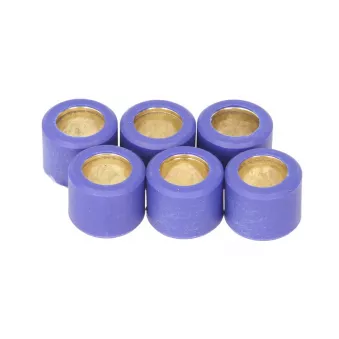 ATHENA S41000030P017 - Rouleau de variateur