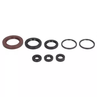 Jeu de joints pour lubrification moteur ATHENA P400510400120