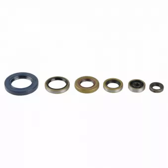 Jeu de joints pour lubrification moteur ATHENA [P400270400047]