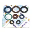 ATHENA P400270400016 - Jeu de joints pour lubrification moteur