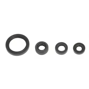 ATHENA P400510400069 - Jeu de joints pour lubrification moteur