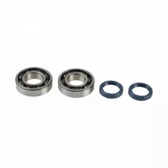 ATHENA P400250444016 - Kit de roulements de vilebrequin